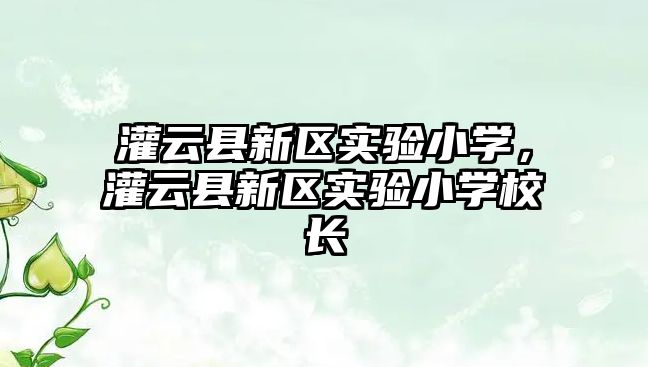 灌云縣新區(qū)實驗小學(xué)，灌云縣新區(qū)實驗小學(xué)校長