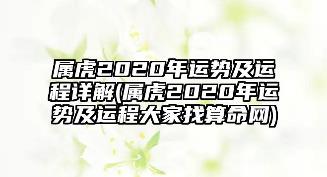 屬虎2020年運勢及運程詳解(屬虎2020年運勢及運程大家找算命網)