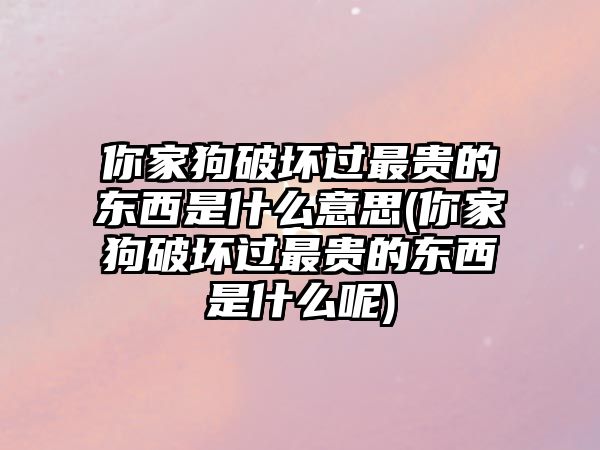 你家狗破壞過(guò)最貴的東西是什么意思(你家狗破壞過(guò)最貴的東西是什么呢)