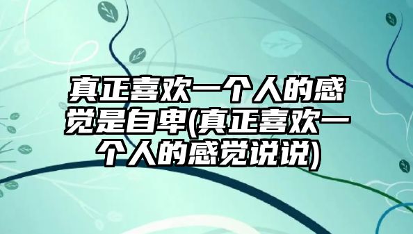 真正喜歡一個人的感覺是自卑(真正喜歡一個人的感覺說說)