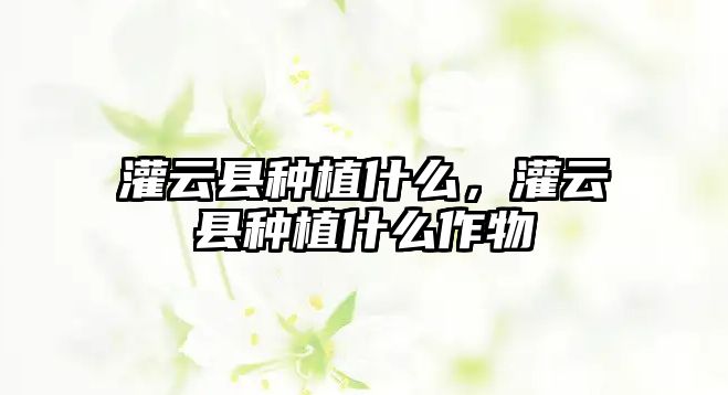 灌云縣種植什么，灌云縣種植什么作物