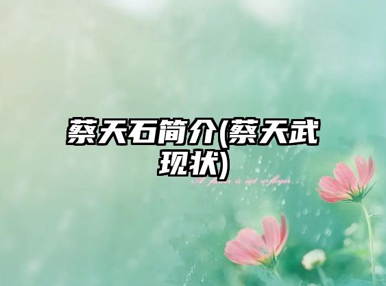 蔡天石簡介(蔡天武現(xiàn)狀)