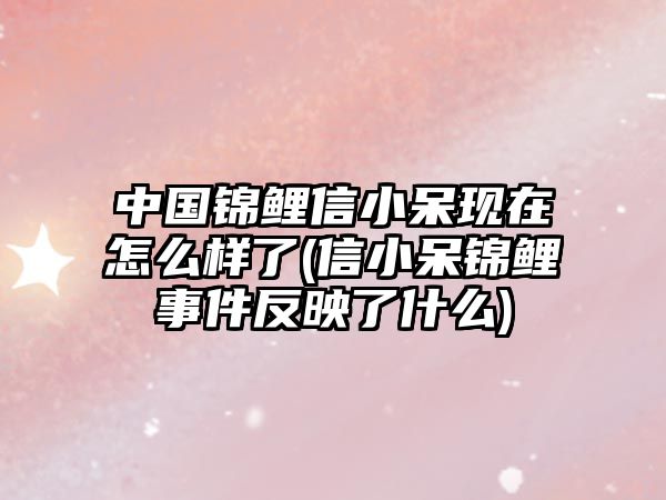 中國錦鯉信小呆現(xiàn)在怎么樣了(信小呆錦鯉事件反映了什么)