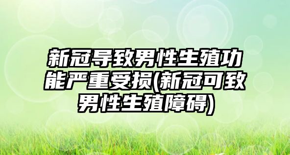 新冠導致男性生殖功能嚴重受損(新冠可致男性生殖障礙)