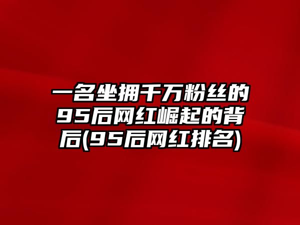 一名坐擁千萬粉絲的95后網紅崛起的背后(95后網紅排名)