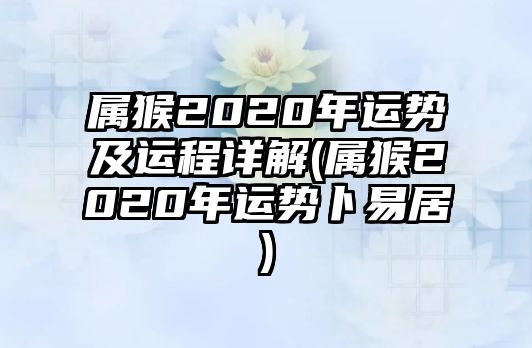 屬猴2020年運勢及運程詳解(屬猴2020年運勢卜易居)