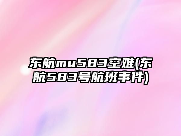 東航mu583空難(東航583號航班事件)