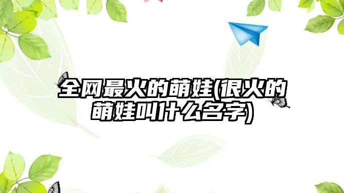 全網最火的萌娃(很火的萌娃叫什么名字)