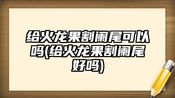 給火龍果割闌尾可以嗎(給火龍果割闌尾好嗎)