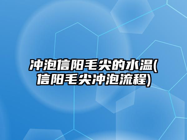 沖泡信陽毛尖的水溫(信陽毛尖沖泡流程)