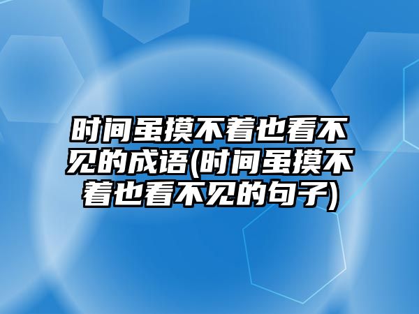 時間雖摸不著也看不見的成語(時間雖摸不著也看不見的句子)