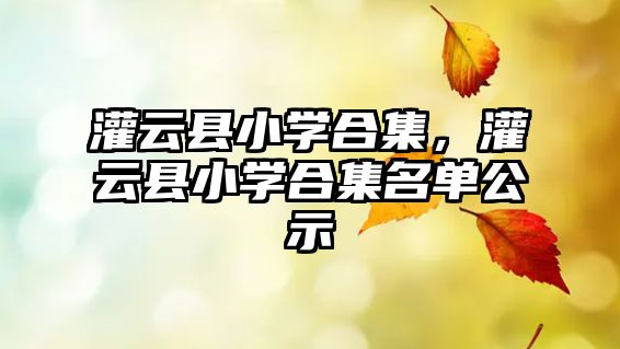 灌云縣小學合集，灌云縣小學合集名單公示