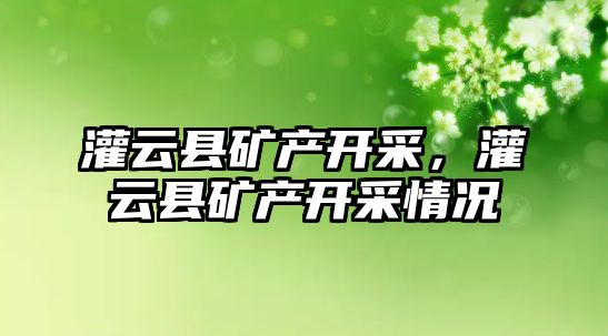 灌云縣礦產開采，灌云縣礦產開采情況