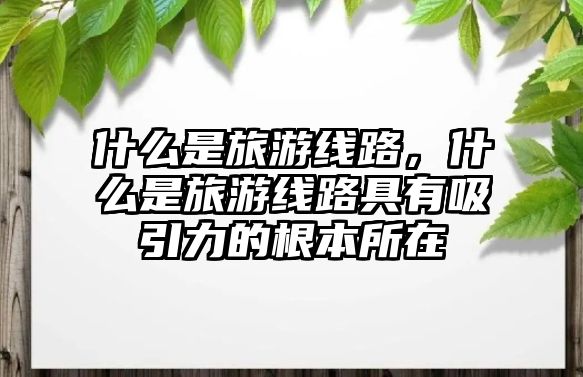 什么是旅游線(xiàn)路，什么是旅游線(xiàn)路具有吸引力的根本所在