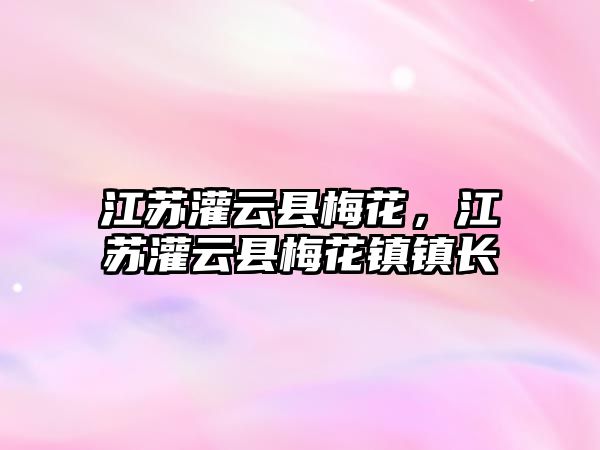 江蘇灌云縣梅花，江蘇灌云縣梅花鎮鎮長