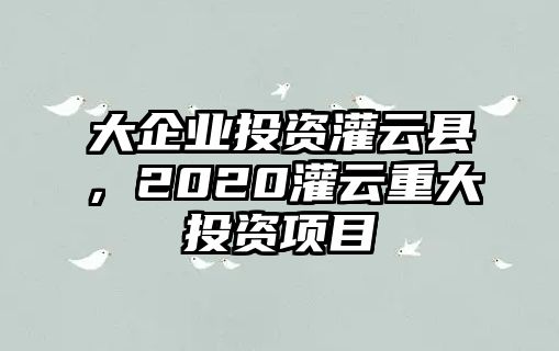 大企業投資灌云縣，2020灌云重大投資項目